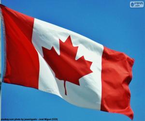 Puzle Bandeira do Canadá