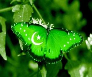 Puzle Bandeira do Paquistão
