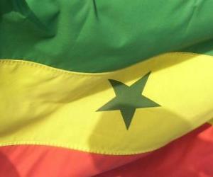 Puzle Bandeira do Senegal