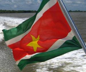 Puzle Bandeira do Suriname