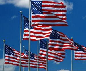 Puzle Bandeira dos Estados Unidos da América ou USA ou EUA