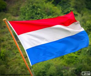 Puzle Bandeira dos Países Baixos