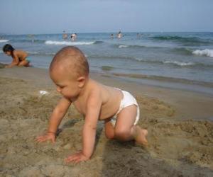 Puzle Bêbe, rastejando na praia