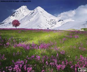 Puzle Belas paisagens dos Alpes