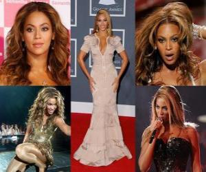 Puzle Beyoncé o sucesso de seus discos solo estabeleceu-la como um dos artistas mais comerciais da indústria da música