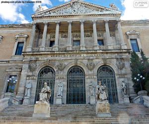 Puzle Biblioteca Nacional de Espanha, Madrid