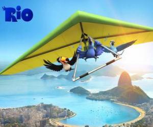 Puzle Blu-arara, tucano Rafael Jóia e uma asa delta sobrevoando a cidade do Rio de Janeiro