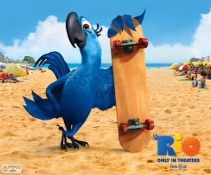 Puzle Blu é uma arara divertido eo protagonista principal do filme Rio