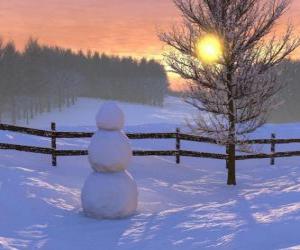 Puzle Boneco de neve na paisagem