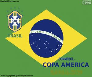 Puzle Brasil, campeão Copa América 2019