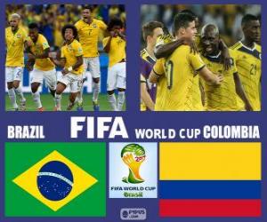 Puzle Brasil - Colômbia, quartas de final, Brasil 2014