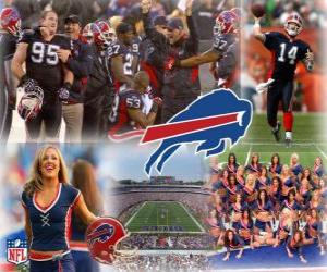 Puzle Buffalo Bills