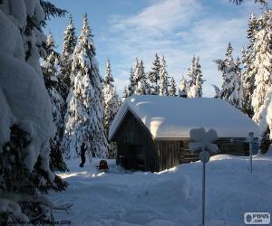 Puzle Cabana de madeira uma forte nevasca