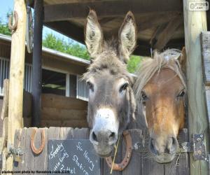 Quebra-cabeças de Cavalos online em COQUINHOS