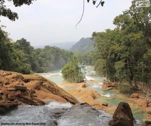 Puzle Cachoeiras da água azul, México