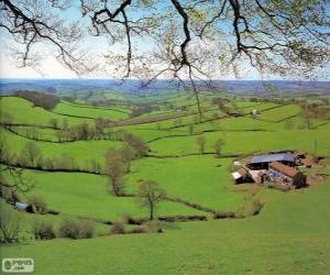 Puzle Campo de Devon, Grã-Bretanha