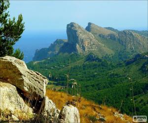 Puzle Cap de Formentor, Maiorca