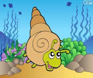 Puzle Caracol do mar