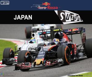 Puzle Carlos Sainz Jr, GP do Japão 2016