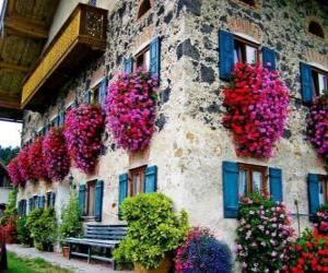 Puzle Casa na primavera com flores na janelas