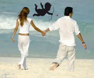 Puzle Casal apaixonado andando na praia