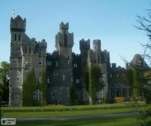 Puzle Castelo de Ashford, Irlanda