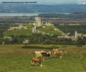 Puzle Castelo de Corfe, Inglaterra