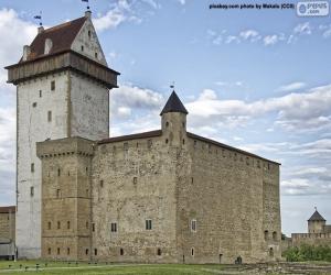 Puzle Castelo de Hermann, Estónia