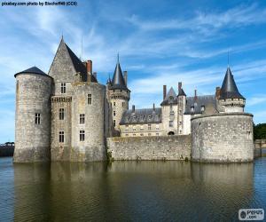 Puzle Castelo de Sully-sur-Loire, França