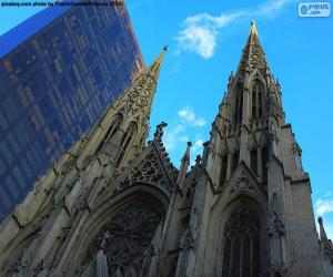 Puzle Catedral de São Patrício, Nova Iorque