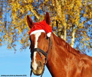 Puzle Cavalo com chapéu de Santa Claus