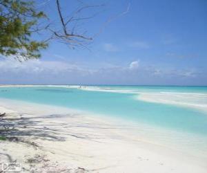 Puzle Cayo Largo, Cuba