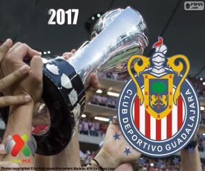 Puzle C.D. Guadalajara, campeão Clausura 2017