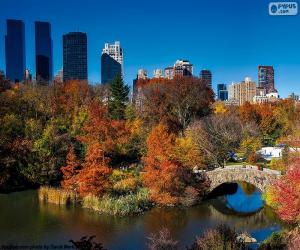 Puzle Central Park, Nova Iorque