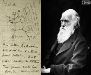 Puzle Charles Darwin (1809-1882), biólogo britânico