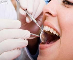 Puzle Check-up odontológico