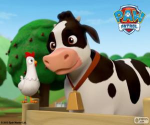 Puzle Chickaletta eu Bettina, PAW Patrol