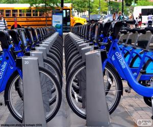 Puzle Citi Bike, Nova Iorque