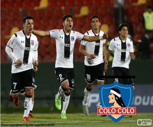 Puzle Colo-Colo, Apertura 2015