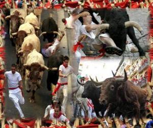 Puzle Corrida de touros ou encierro, Sanfermines. Pamplona, &#8203;&#8203;Navarra, Espanha. Festas de São Firmino de 6 a 14 de julho