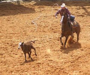 Puzle Cowboy ou vaqueiro que monta um cavalo e que trava uma cabeça de gado com o lasso