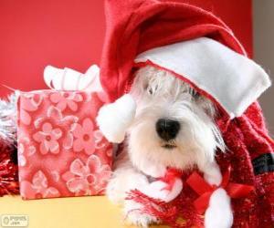 Puzle Cão com um chapéu de Papai Noel e seu presente