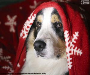 Puzle Cão de Natal