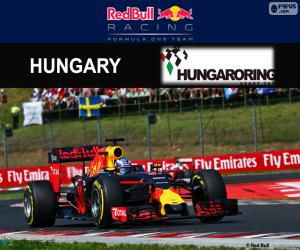 Puzle Daniel Ricciardo, GP Hungria 2016