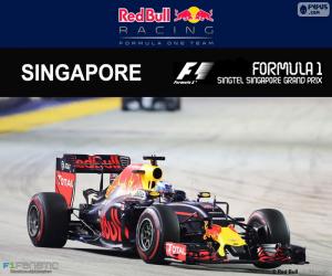 Puzle Daniel Ricciardo, GP Singapura 16