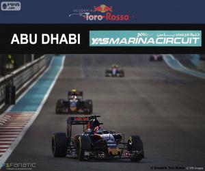 Puzle Daniil Kvyat, GP Abu Dhabi 2016