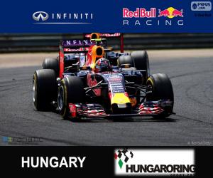 Puzle Daniil Kvyat G.P da Hungria 2015