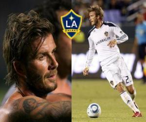 Puzle David Beckham é um futebolista Inglês. Atualmente joga no LA Galaxy.