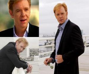 Puzle David Caruso