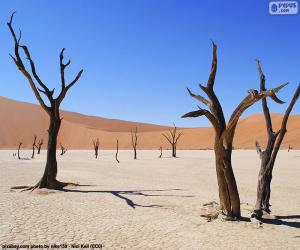 Puzle Deadvlei, Namíbia